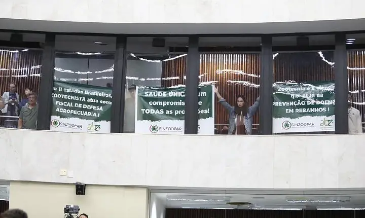 Galeria de Imagem